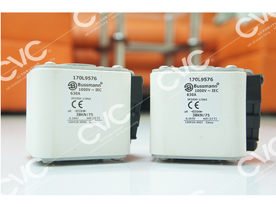 CẦU CHÌ BUSSMANN 170L9576