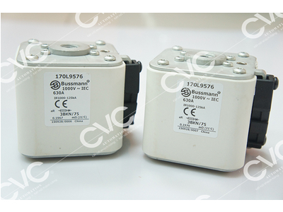 CẦU CHÌ BUSSMANN 170L9576