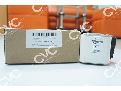 CẦU CHÌ BUSSMANN 170L9576