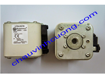 Cầu Chì Bussmann 170L9578