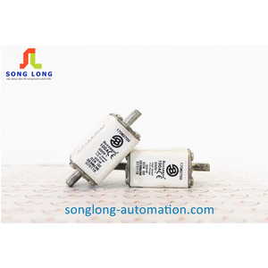 CẦU CHÌ BUSSMANN 170M2700