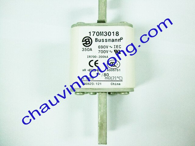 Cầu chì Bussmann 170M3018