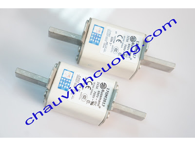 Cầu chì Bussmann 170M3817