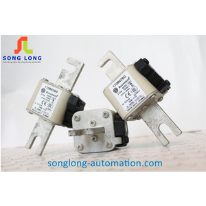 CẦU CHÌ BUSSMANN 170M4260