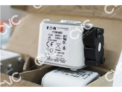 CẦU CHÌ BUSSMANN 170M4460