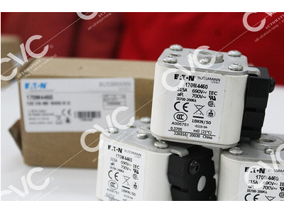 CẦU CHÌ BUSSMANN 170M4460