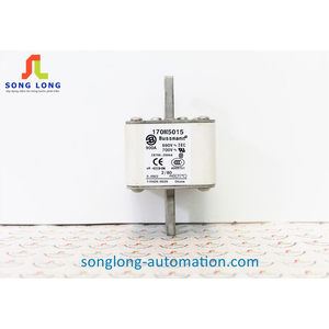 CẦU CHÌ BUSSMANN 170M5015