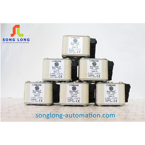 CẦU CHÌ BUSSMANN 170M5406