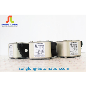 CẦU CHÌ BUSSMANN 170M5460
