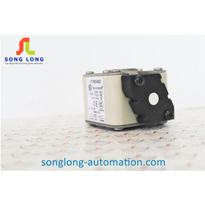 CẦU CHÌ BUSSMANN 170M5462