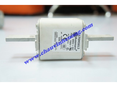 Cầu Chì Bussmann 170M5813