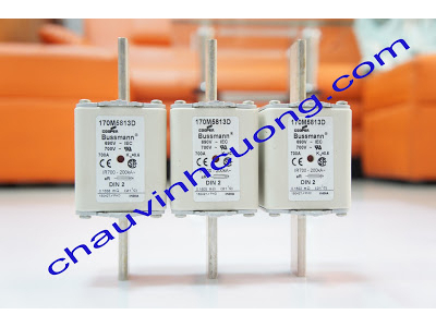 Cầu chì Bussmann 170M5813D