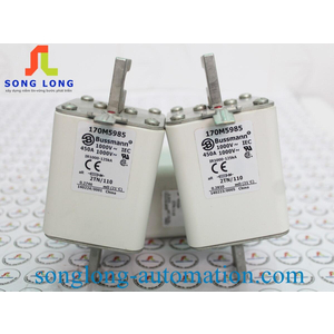 CẦU CHÌ BUSSMANN 170M5985