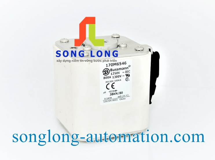 CẦU CHÌ BUSSMANN 170M6546