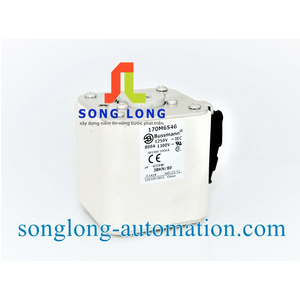 CẦU CHÌ BUSSMANN 170M6546