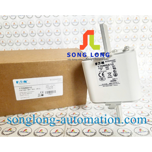 CẦU CHÌ EATON 170M6810