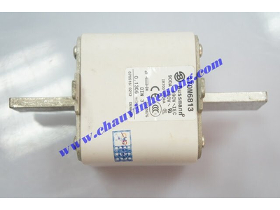 Cầu chì Bussman 170M6813