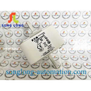CẦU CHÌ EATON 170M7309