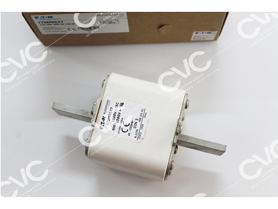 CẦU CHÌ BUSSMANN 170M4807