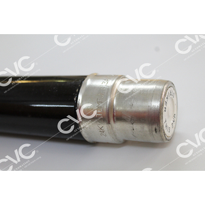 CẦU CHÌ BUSSMANN 24TDMEJ6,3