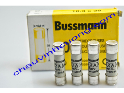 Cầu chì Bussmann C10G2