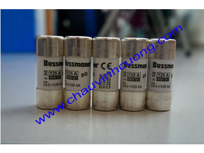 Cầu Chì Bussmann C22G125