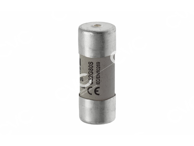 CẦU CHÌ BUSSMANN C22G80S