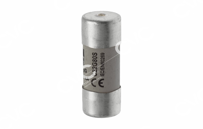 CẦU CHÌ BUSSMANN C22G80S