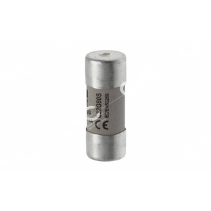 CẦU CHÌ BUSSMANN C22G80S