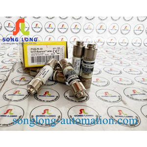 CẦU CHÌ BUSSMANN FNQ-R-30