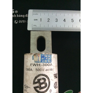Cầu Chì Bussmann FWH 300A Hàng Củ