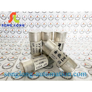 CẦU CHÌ BUSSMANN FWP-100A22Fa