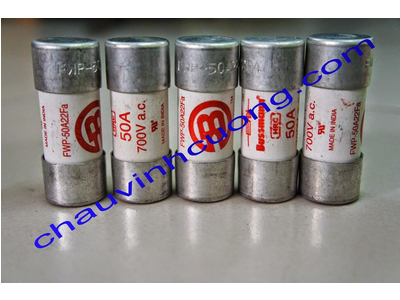 Cầu Chì Bussmann FWP-50A22Fa