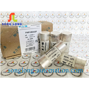CẦU CHÌ BUSSMANN FWP-80A22Fa