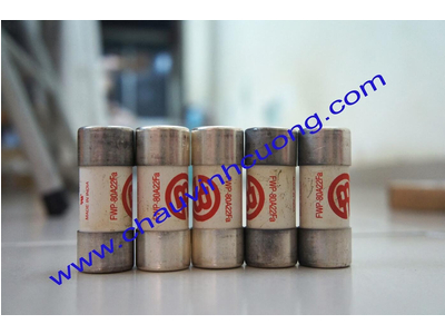 Cầu Chì Bussmann FWP-80A22Fa