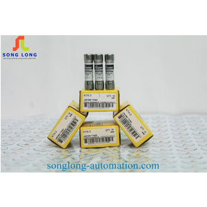 CẦU CHÌ BUSSMANN KTK-3