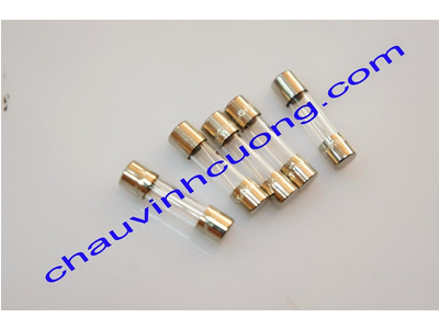 Cầu chì Bussmann S500-5-R