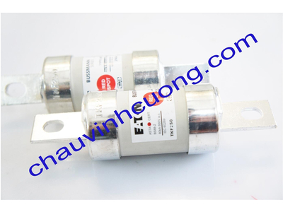 Cầu chì Bussmann BS88:2 TKF250