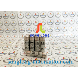 CẦU CHÌ 10X38 EATON C10G1