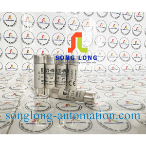CẦU CHÌ 10X38 EATON C10G12