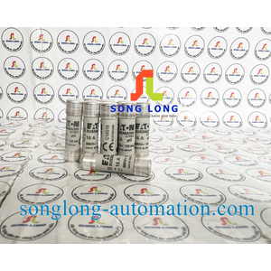 CẦU CHÌ 10X38 EATON C10G16