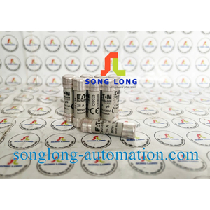 CẦU CHÌ 10X38 EATON C10G25