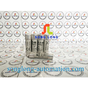 CẦU CHÌ 10X38 EATON C10G6