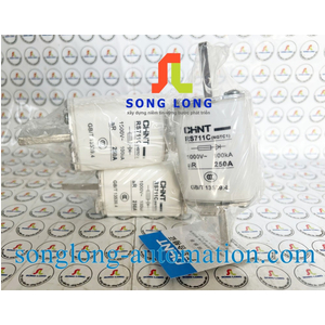 CẦU CHÌ CHINT RS711C (NGTC3) 250A