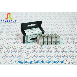 CẦU CHÌ CỔ CHAI FERRAZ SHAWMUT D02GG40V35