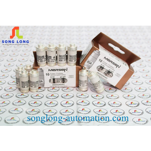 CẦU CHÌ CỔ CHAI FERRAZ SHAWMUT D02GG40V63