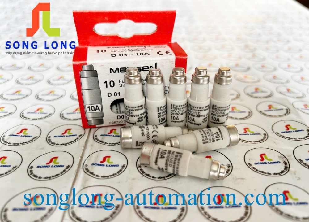 CẦU CHÌ CỔ CHAI FERRAZ SHAWMUT D01GG40V10