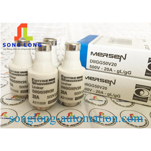 CẦU CHÌ CỔ CHAI FERRAZ SHAWMUT DIIGG50V20