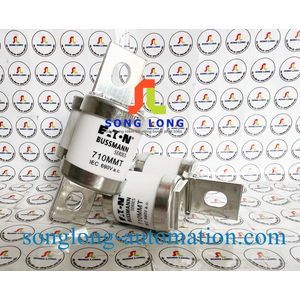 CẦU CHÌ ĐÔI EATON 710MMT