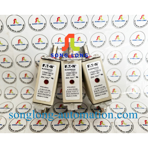 CẦU CHÌ EATON 170M1561D